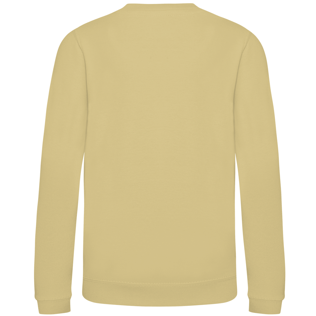 Ozean Helden - Kids Schildkröten Sweatshirt